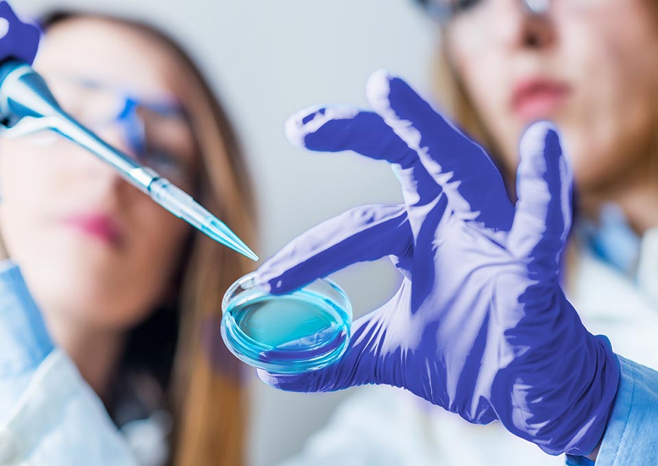 ¿Por qué la Farmacovigilancia es importante?